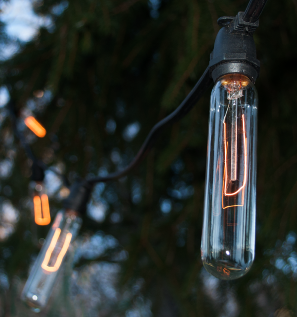 Hometown Evolution T25 Tube Edison Commercial 100 Foot String Light Set with Black Wire