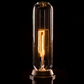 Hometown Evolution T25 Tube Edison Commercial 100 Foot String Light Set with Black Wire