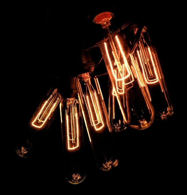 Hometown Evolution T25 Tube Edison Commercial 100 Foot String Light Set with Black Wire