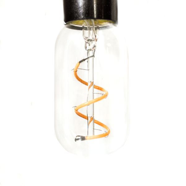 Hometown Evolution T45 LED Spiral Filament 3 Watts Light Bulb