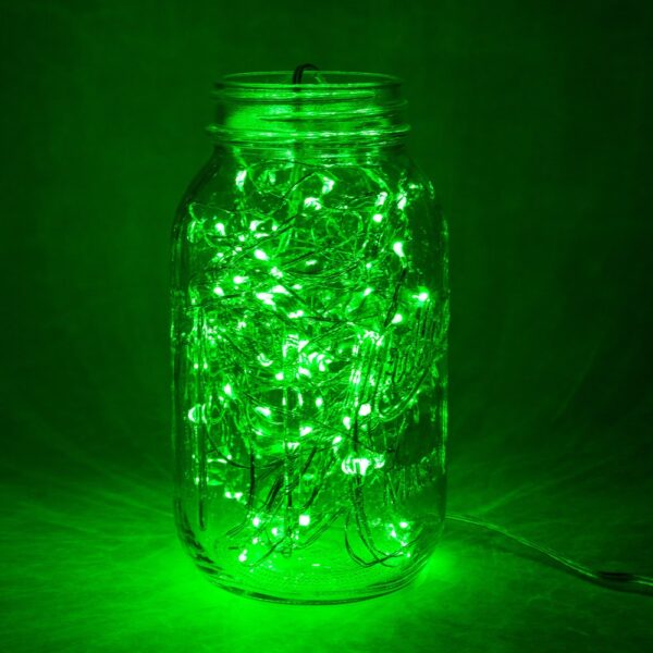 Hometown Evolution Waterproof 6 Foot Green Battery Operated LED Fairy Light with 20 Micro LED Lights on Copper Wire