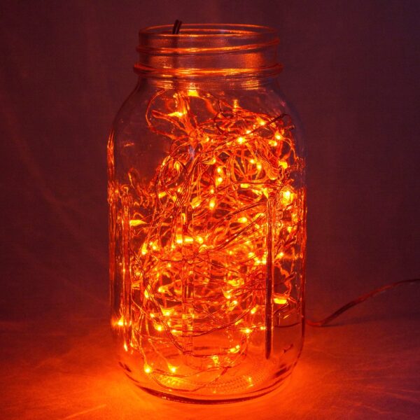 Hometown Evolution Waterproof 6 Foot Orange Battery Operated LED Fairy Light with 20 Micro LED Lights on Copper Wire