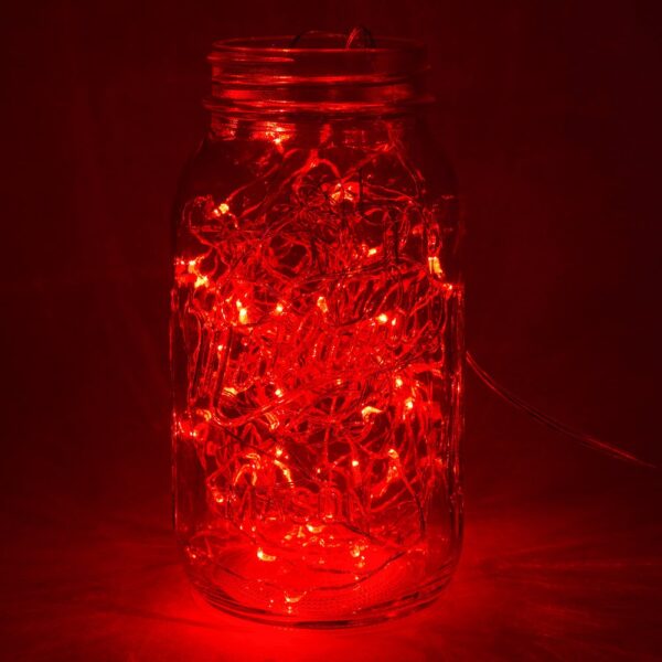 Hometown Evolution Waterproof 6 Foot Red Battery Operated LED Fairy Light with 20 Micro LED Lights on Copper Wire