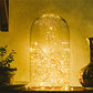 Hometown Evolution Waterproof 6 Foot Warm White Battery Operated LED Fairy Light with 20 Micro LED Lights on Copper Wire