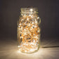 Hometown Evolution Waterproof 6 Foot Warm White Battery Operated LED Fairy Light with 20 Micro LED Lights on Copper Wire