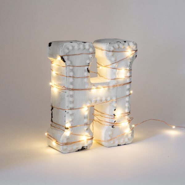 Hometown Evolution Waterproof 6 Foot Warm White Battery Operated LED Fairy Light with 20 Micro LED Lights on Copper Wire