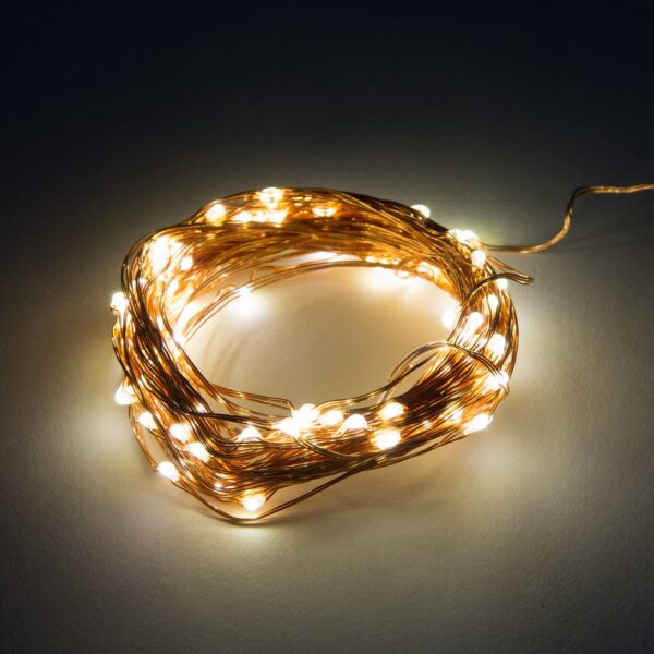 Hometown Evolution Waterproof 6 Foot Warm White Battery Operated LED Fairy Light with 20 Micro LED Lights on Copper Wire