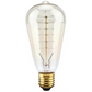 Lifegard Lighting Incandescent ST64 Heart with Hairpin Spiral Filament Anchors 2200K Clear Light Bulb