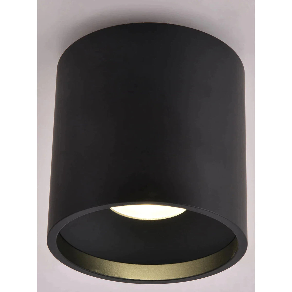 Lifegard Lighting Up/Down Series Round 12W Fixed Mount Built-in LED Tu ...