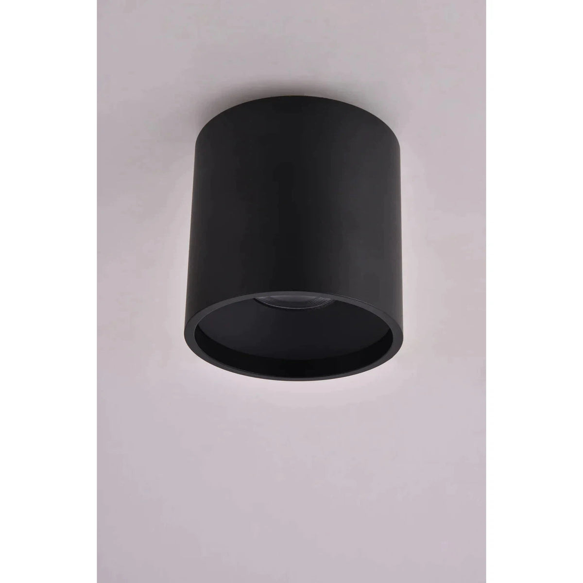 Lifegard Lighting Up/Down Series Round 12W Fixed Mount Built-in LED Tu ...