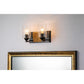 Lucas & McKearn Arcadia 2-Light Matte Black & Antique Gold Wall Light With Seeded Clear Glass Cylinder Shade