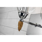 Lucas & McKearn Felice 1-Light Polished Chrome Wall Light With Acorn-Shaped Gold Accents