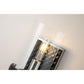 Lucas & McKearn Mazant 1-Light Black & Polished Chrome Wall Light With Half Drum-Shaped Clear Glass Shade