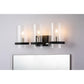 Lucas & McKearn Mazant 3-Light Black & Polished Chrome Wall Light With Half Drum-Shaped Clear Glass Shade
