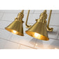 Lucas & McKearn Provence 2-Light Aged Brass Wall Light With Cone-Shaped Metal Shade