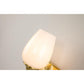 Lucas & McKearn Trellis 1-Light Aged Brass Wall Light With Tulip Shape White Opal Glass Shade