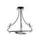 Meyda Lighting 24" 2-Light 3-Arm Black Powder Coat Serpentine Ring Semi-flush Mount Ceiling Light