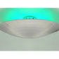 Meyda Lighting 66" RGB LED Brushed Finish Quasar Pendant Light