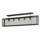 Meyda Lighting Affinity 47" 5-Light Matte Clear Semi-flush Mount Ceiling Light With Clear Shade Glass