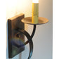 Meyda Lighting Allure 20"H Hand Wrought Iron Wall Sconce