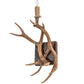 Meyda Lighting Antlers 14" Natural Antler Elk & Mule Deer Wall Sconce