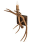 Meyda Lighting Antlers 14" Natural Antler Elk & Mule Deer Wall Sconce