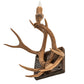 Meyda Lighting Antlers 14" Natural Antler Elk & Mule Deer Wall Sconce