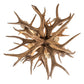 Meyda Lighting Antlers 20" 6-Light 2-Tier Antique Copper Chandelier With Natural Antler Shade