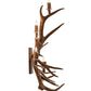 Meyda Lighting Antlers 21" 5-Light Elk & Mule Deer Wall Sconce