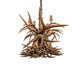 Meyda Lighting Antlers 55" 10-Light Antique Copper Island Chandelier