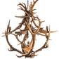 Meyda Lighting Antlers 55" 10-Light Mahogany Bronze Elk & Fallow Deer Chandelier