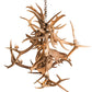 Meyda Lighting Antlers 55" 10-Light Mahogany Bronze Elk & Fallow Deer Chandelier