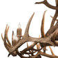 Meyda Lighting Antlers 56" 12-Light Antique Copper Elk Chandelier