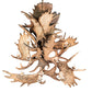 Meyda Lighting Antlers 64" 12-Light Mahogany Bronze Moose Chandelier