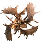 Meyda Lighting Antlers 64" 12-Light Mahogany Bronze Moose Chandelier