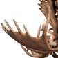 Meyda Lighting Antlers 64" 12-Light Mahogany Bronze Moose Chandelier