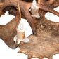 Meyda Lighting Antlers 64" 12-Light Mahogany Bronze Moose Chandelier
