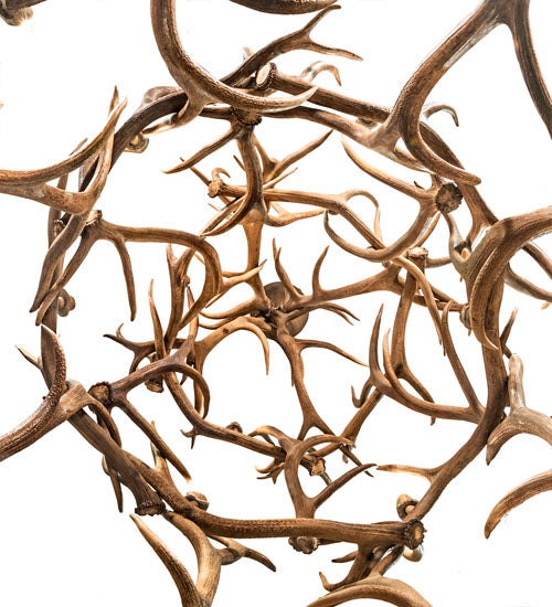 Meyda Lighting Antlers 70" 18-Light Antlers Elk Chandelier