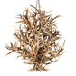 Meyda Lighting Antlers 84" 16-Light Mahogany Bronze & Deer Antlers Chandelier