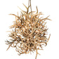 Meyda Lighting Antlers 84" 16-Light Mahogany Bronze & Deer Antlers Chandelier