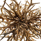 Meyda Lighting Antlers 84" 16-Light Mahogany Bronze & Deer Antlers Chandelier