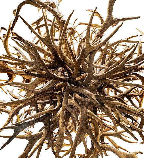 Meyda Lighting Antlers 84" 16-Light Mahogany Bronze & Deer Antlers Chandelier