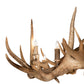 Meyda Lighting Antlers 85" 12-Light Antique Copper Chandelier