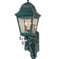 Meyda Lighting Arnette 9" 2-Light Golden Verdigris Lantern Wall Sconce With Clear Seeded Shade Glass