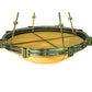 Meyda Lighting Auburn 74" 20-Light Polished Brass Inverted Pendant Light With Tawnyrock Idalight Shade