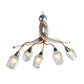 Meyda Lighting Ballerina 30" 5-Light Copper And Steel Clear Coated Chandelier With Frosted Clear Shade Glass