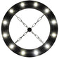 Meyda Lighting Bangle 38" 12-Light Wrought Iron Pendant Light With Black and White Shade