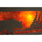 Meyda Lighting Bear at Lake 24" 4-Light Timeless Bronze Vanity Light With Amber Mica Shade Glass