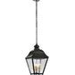 Meyda Lighting Boston 20" 4-Light Wrought Iron Lantern Pendant Light With Clear Seeded Shade Glass