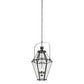 Meyda Lighting Carnaby 26" 3-Light Solar Black Pendant Light With Clear Shade Glass